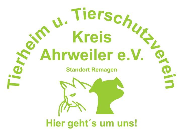 Tag des Hundes 2023 > Tierheim und Tierschutzverein Kreis Ahrweiler e. V.